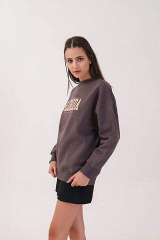 Florida Brown Sweatshirt